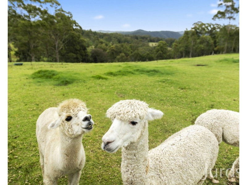 Mount View NSW 2325