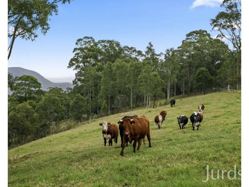 Mount View NSW 2325