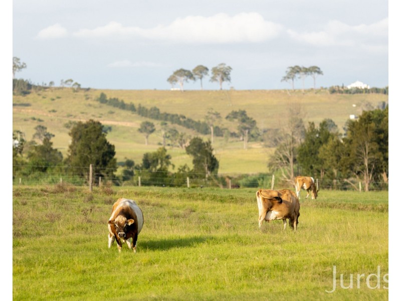 103 Dickenson Road, Melville NSW 2320