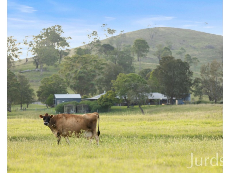 103 Dickenson Road, Melville NSW 2320