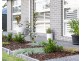 24 Earl Park Court, Kitchener NSW 2325