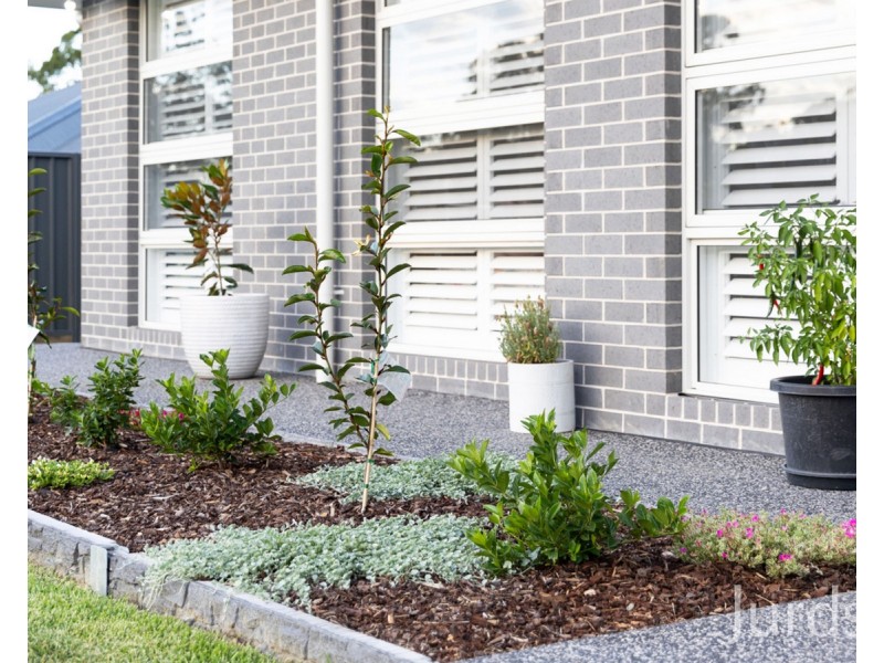 24 Earl Park Court, Kitchener NSW 2325