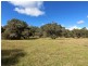 109 Blind Creek Road, Branxton NSW 2335