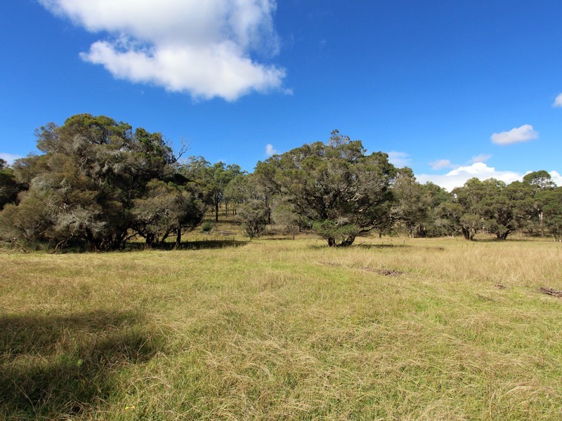 109 Blind Creek Road, Branxton NSW 2335