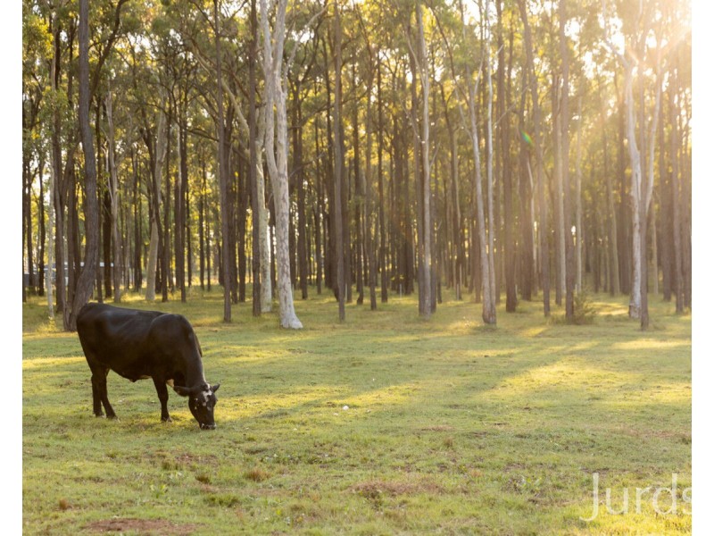Prop lot 743 Bathurst Street, Sawyers Gully NSW 2326