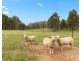 228 Sweetwater Road, Belford NSW 2335