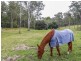 Congewai NSW 2325