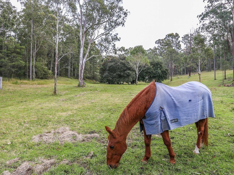 Congewai NSW 2325