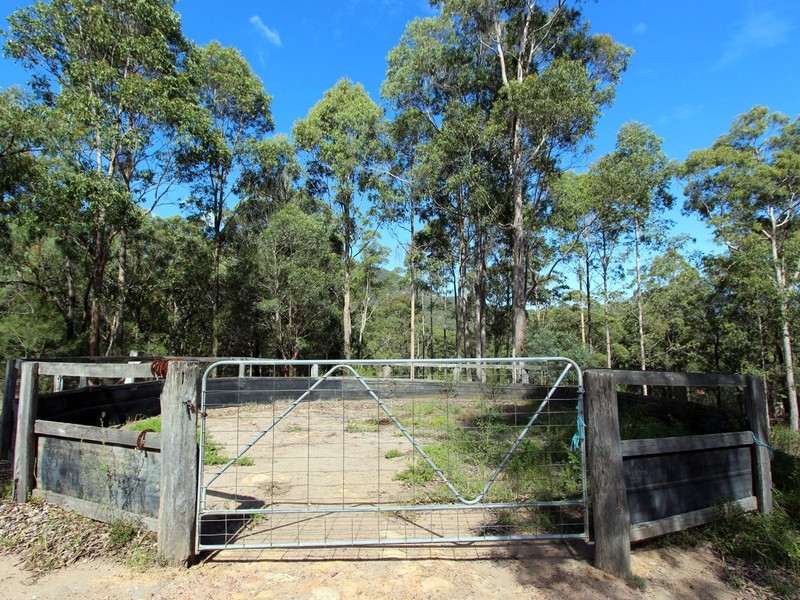 372 Wallaby Gully Road, Ellalong NSW 2325