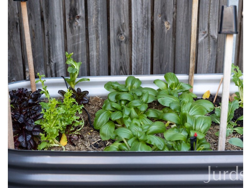 2 Maculata Place, Pokolbin NSW 2320