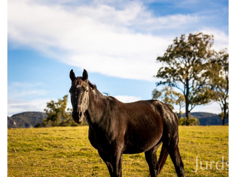 40 Mistletoe Lane, Pokolbin NSW 2320
