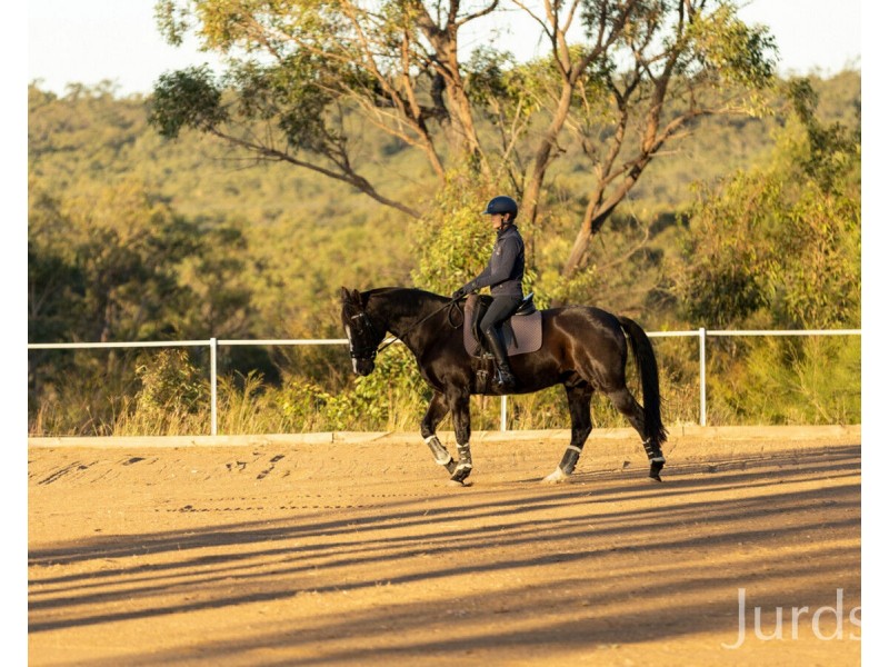 138 Olsen Road, Lovedale NSW 2325