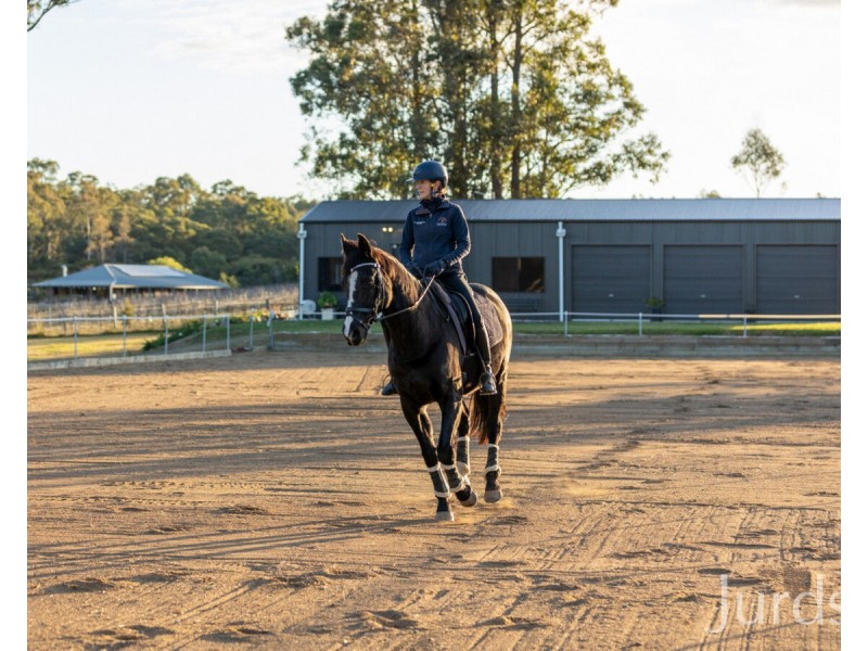 138 Olsen Road, Lovedale NSW 2325