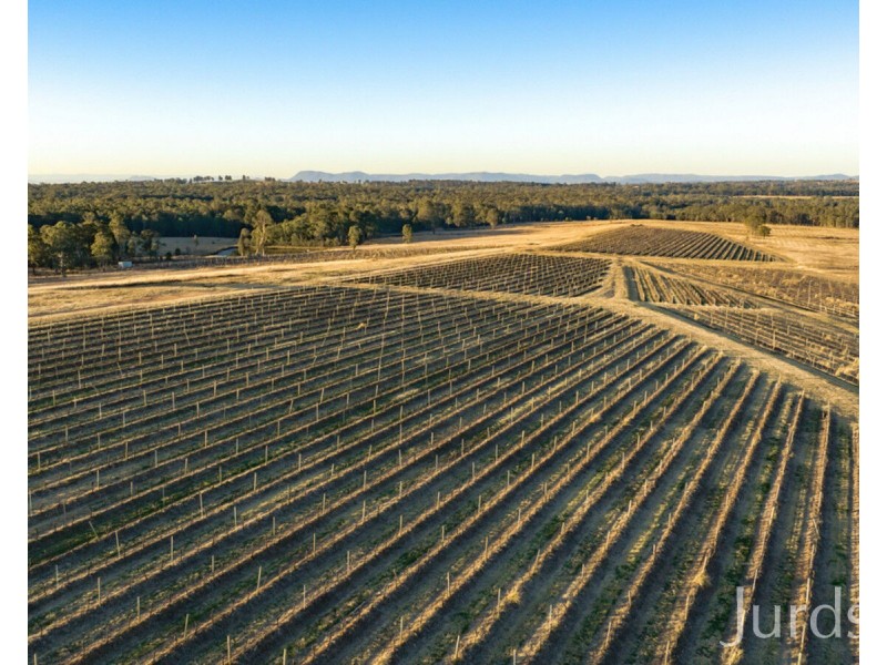 861 & 913 Hermitage Road, Pokolbin NSW 2320