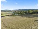 496 Talga Road, Lovedale NSW 2325