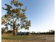 Lot 1 Elderslie Road, Mitchells Flat NSW 2330