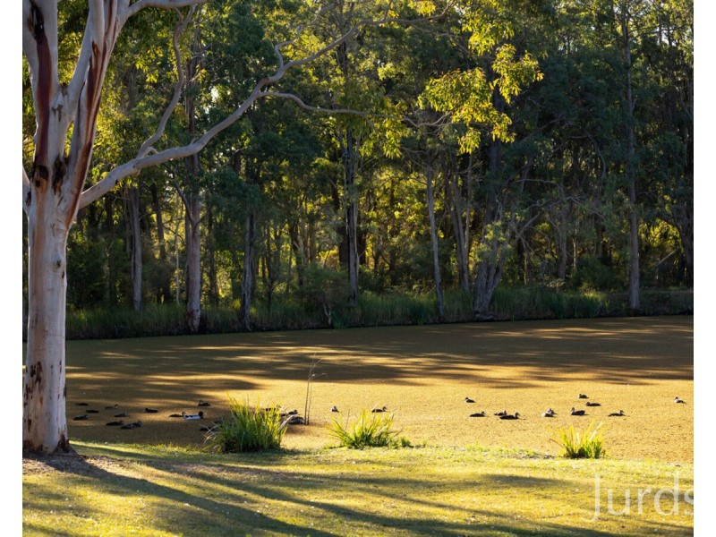 755 Sandy Creek Road, Quorrobolong NSW 2325