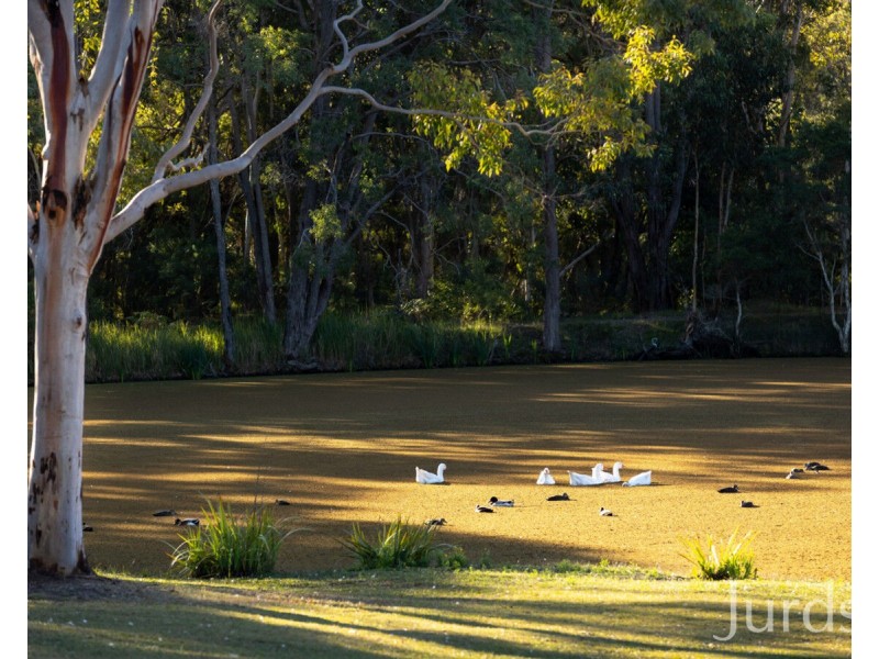 755 Sandy Creek Road, Quorrobolong NSW 2325