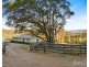 1377 Mount View Road, Millfield NSW 2325