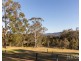 1377 Mount View Road, Millfield NSW 2325