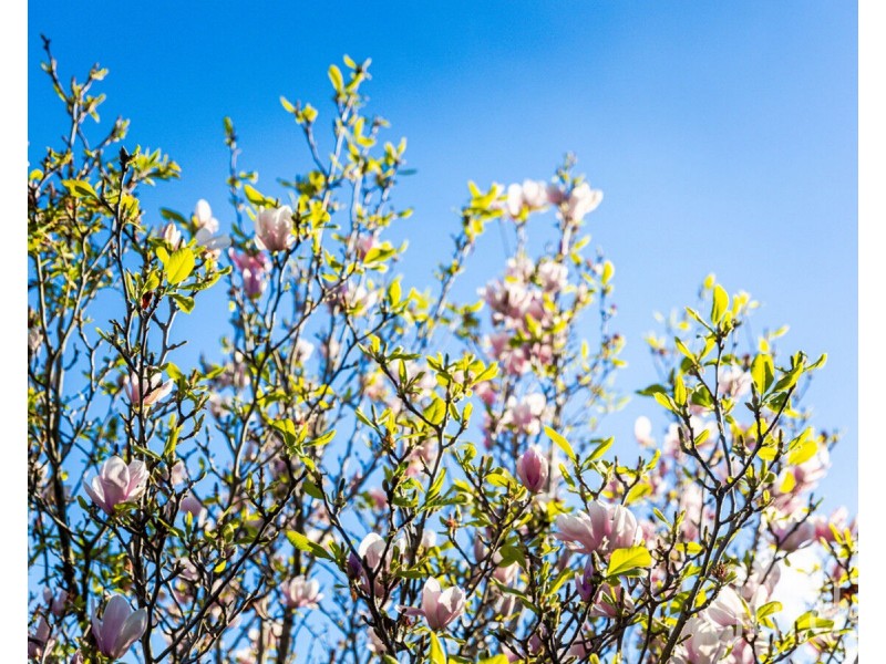 18 Victoria Street, Kurri Kurri NSW 2327