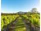 658 De Beyers Road, Pokolbin NSW 2320