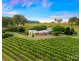 658 De Beyers Road, Pokolbin NSW 2320