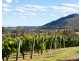 658 De Beyers Road, Pokolbin NSW 2320