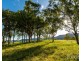 658 De Beyers Road, Pokolbin NSW 2320