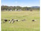 282 Quorrobolong Road, Quorrobolong NSW 2325
