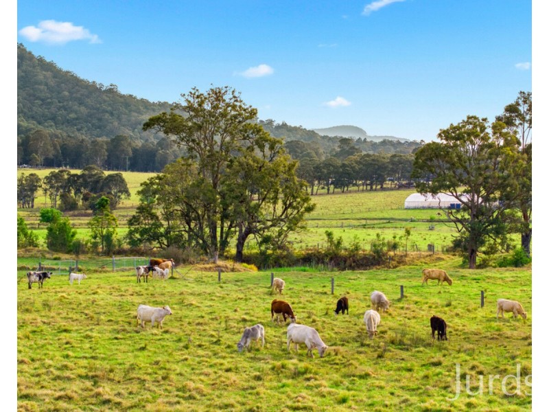 244 Whitings Lane, Quorrobolong NSW 2325
