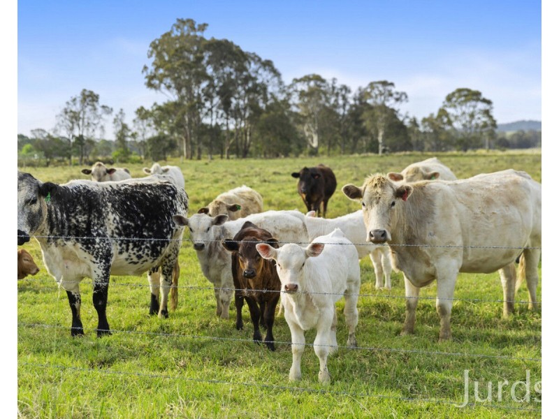 244 Whitings Lane, Quorrobolong NSW 2325
