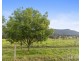 244 Whitings Lane, Quorrobolong NSW 2325