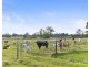 244 Whitings Lane, Quorrobolong NSW 2325