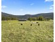 244 Whitings Lane, Quorrobolong NSW 2325