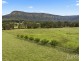 244 Whitings Lane, Quorrobolong NSW 2325