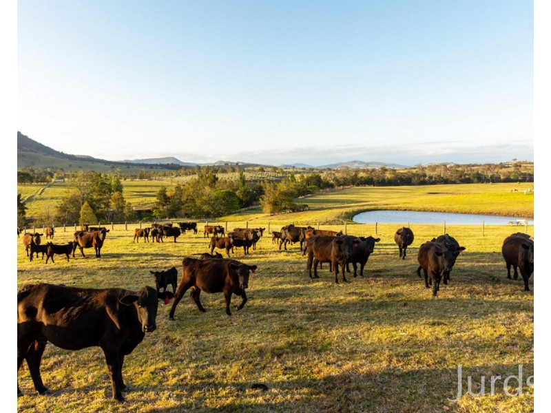 538 Summerhill Road, Summer Hill NSW 2421