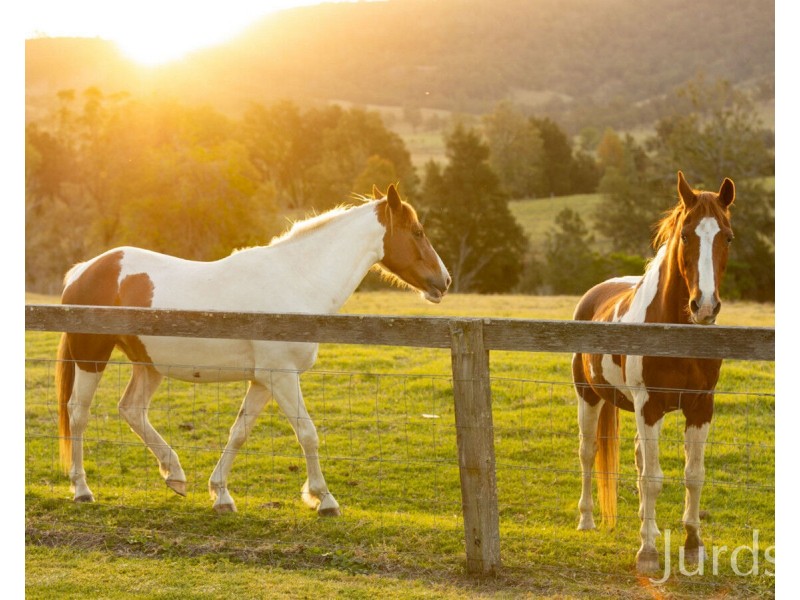 538 Summerhill Road, Summer Hill NSW 2421