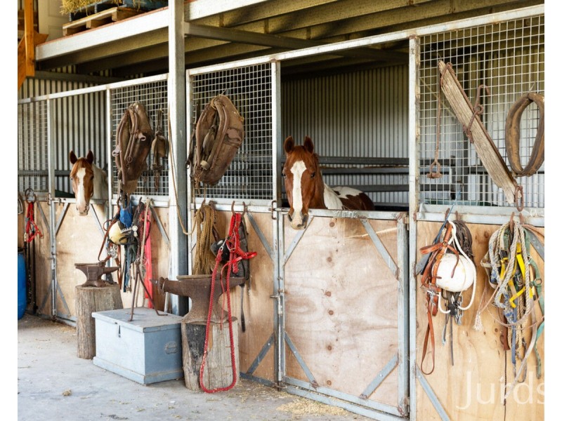 538 Summerhill Road, Summer Hill NSW 2421