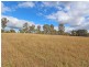 3193 New England Highway, Belford NSW 2335