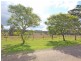 3193 New England Highway, Belford NSW 2335