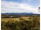 442 Talga Road, Lovedale NSW 2325