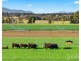 21 Neotsfield Lane, Whittingham NSW 2330