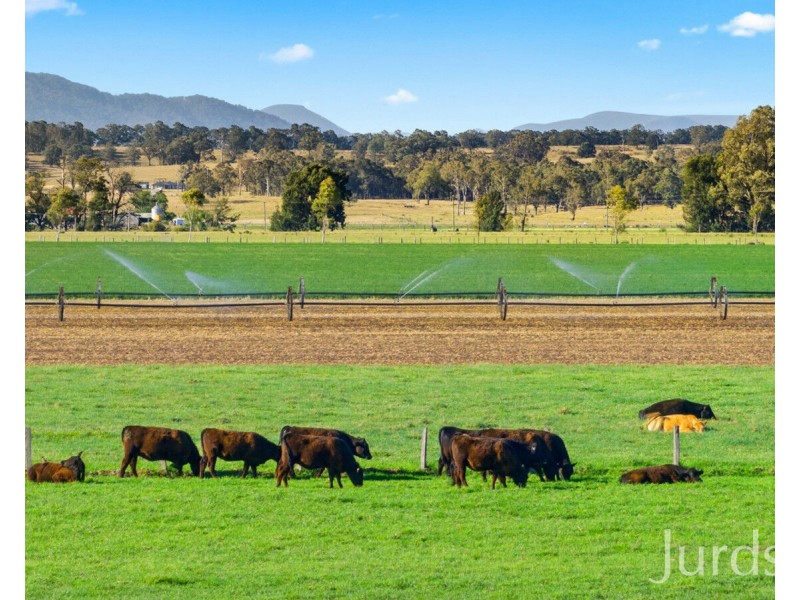 21 Neotsfield Lane, Whittingham NSW 2330