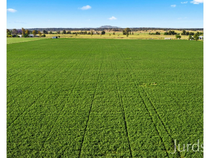 21 Neotsfield Lane, Whittingham NSW 2330