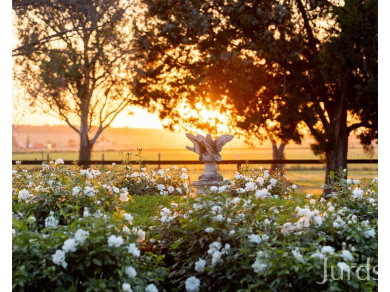 21 Neotsfield Lane, Whittingham NSW 2330