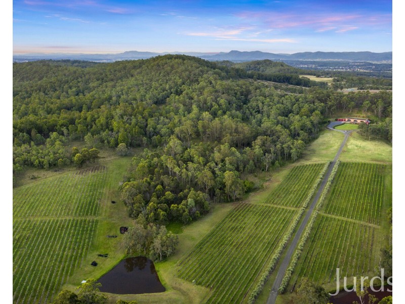 136 Talga Road, Lovedale NSW 2325