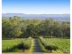 136 Talga Road, Lovedale NSW 2325
