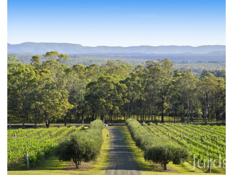 136 Talga Road, Lovedale NSW 2325