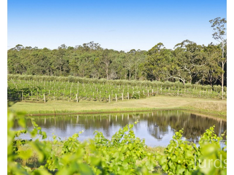 136 Talga Road, Lovedale NSW 2325